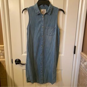 Denim Styled Collar Dress